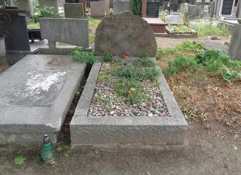 Zdjęcie grobu Tadeusz Bentkowski (1)
