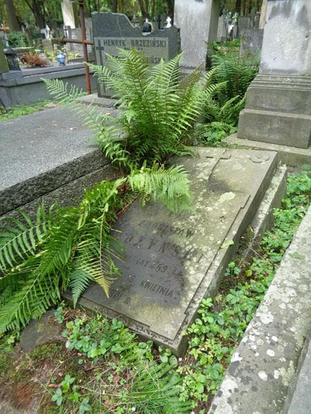 Zdjęcie grobu Bronisław Rożyński (1)