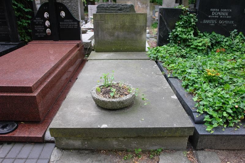 Zdjęcie grobu Stefan Żmichowski (1)