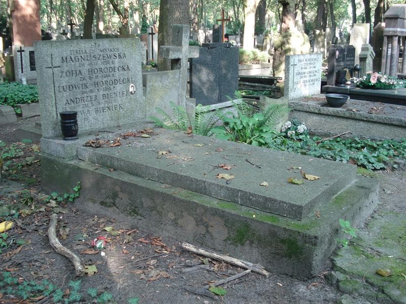 Zdjęcie grobu: Ludwik Horodecki