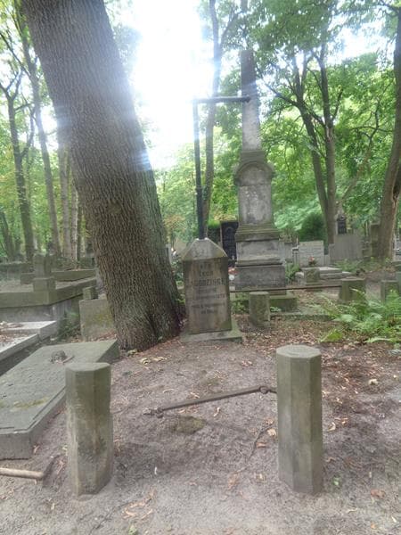 Zdjęcie grobu Leon Jagodziński (1)