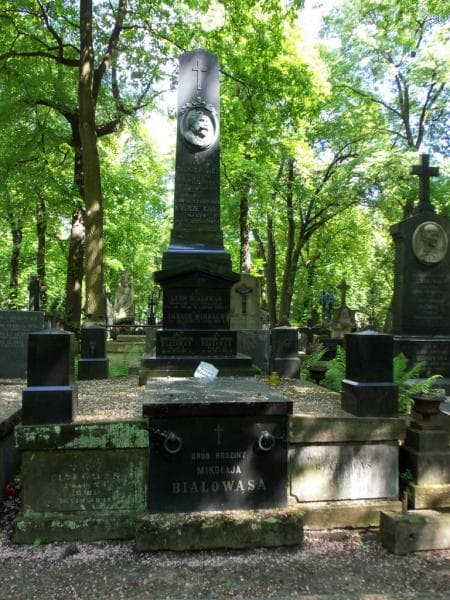 Zdjęcie grobu: Longina Bzowska