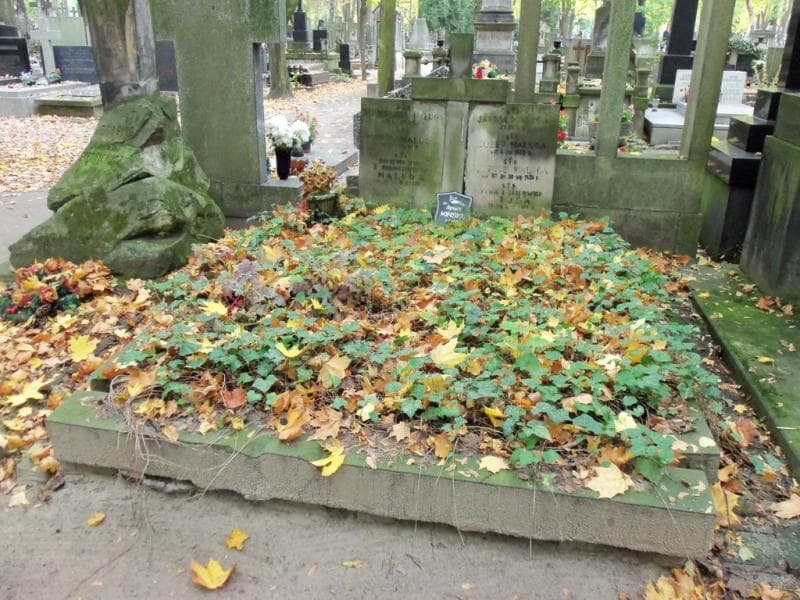 Zdjęcie grobu: Maria Maluga