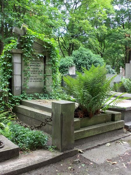 Zdjęcie grobu Marian Gozimierski (1)