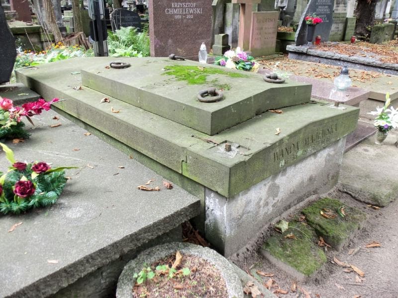 Zdjęcie grobu Wanda Majewska (2)