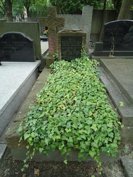 Zdjęcie grobu: Teodor Cetys