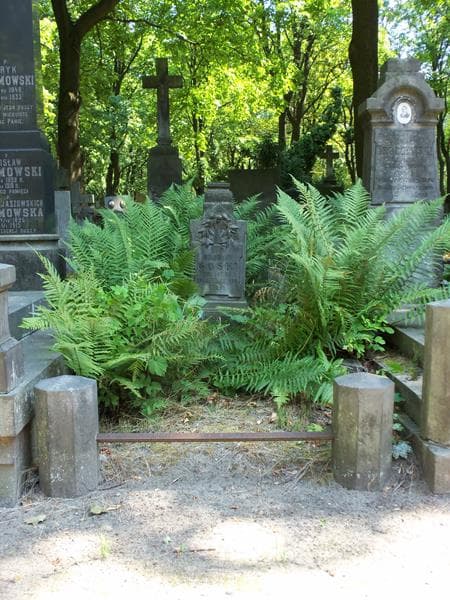 Zdjęcie grobu: Bolesław Goski