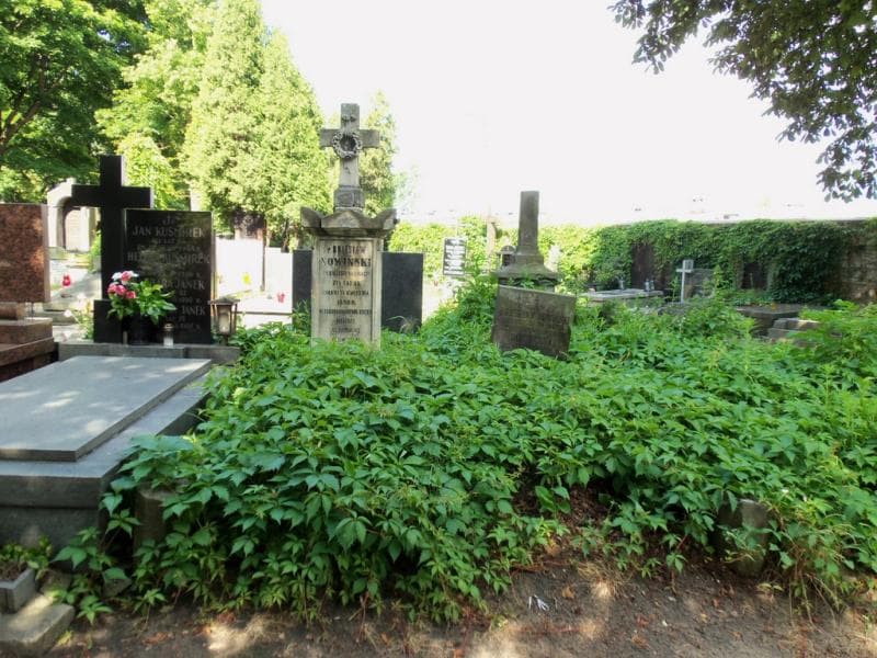 Zdjęcie grobu: Bolesław Nowiński