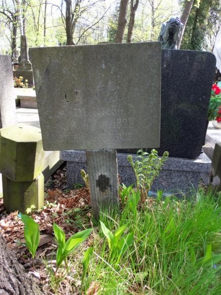 Zdjęcie grobu Witold Landy (2)