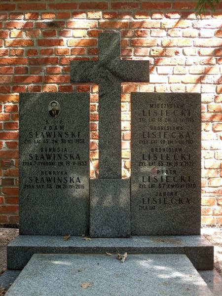 Zdjęcie grobu Henryka Sławińska (2)