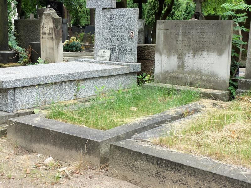Zdjęcie grobu Zofia Domińska (1)