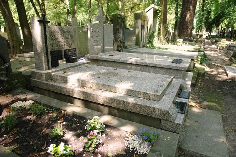 Zdjęcie grobu: Tadeusz Górnicki