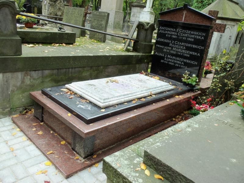 Zdjęcie grobu Teresa Kryńska (1)