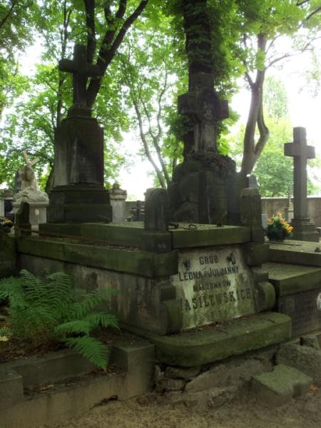 Zdjęcie grobu Leon Wasilewski (1)