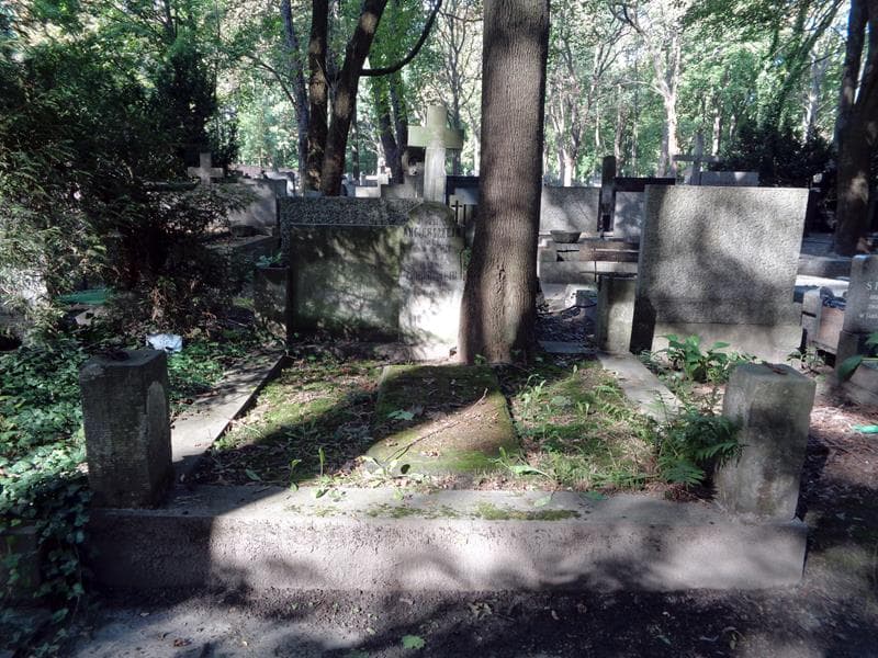 Zdjęcie grobu Januszek Angiersztejn (1)