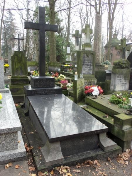 Zdjęcie grobu Stanisław Odrowąż - Sypniewski (1)