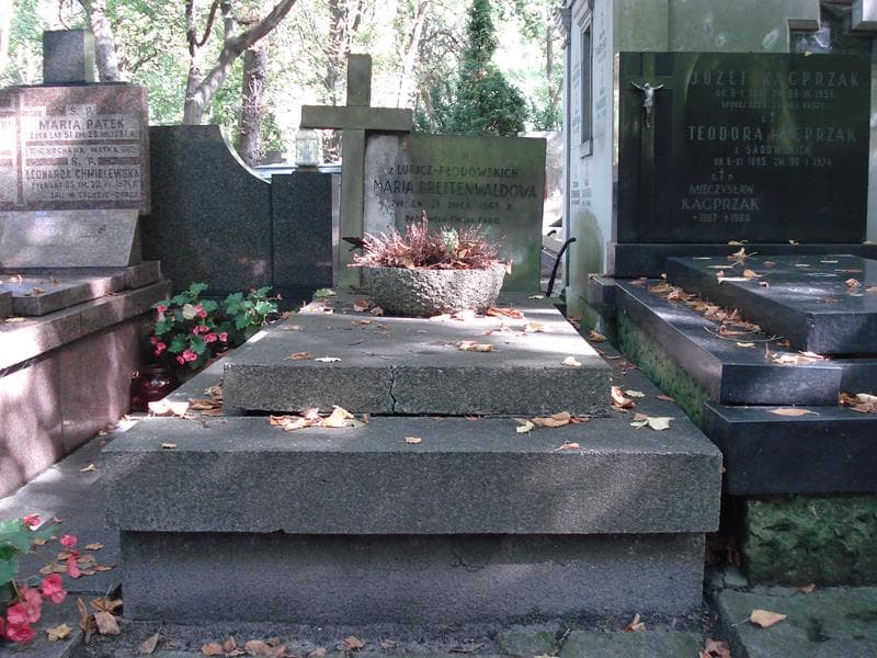 Zdjęcie grobu: Zygmunt Breitenwald