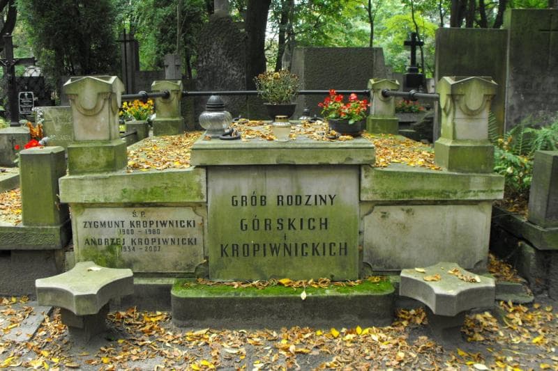 Zdjęcie grobu: Górscy