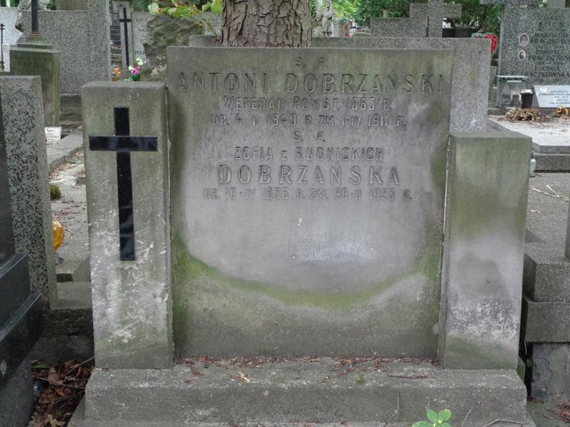 Zdjęcie grobu Antoni Dobrzański (2)