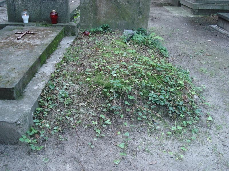 Zdjęcie grobu: Pole Grobowe