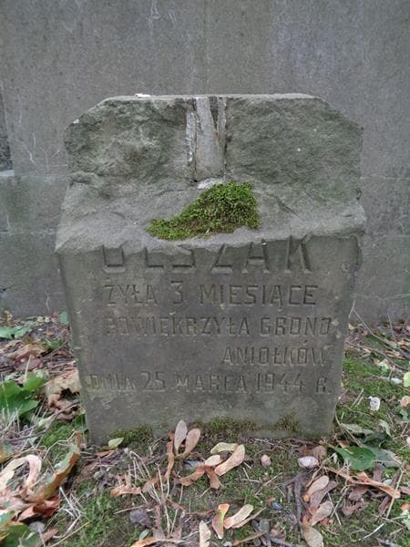 Zdjęcie grobu ... (olszak) (2)
