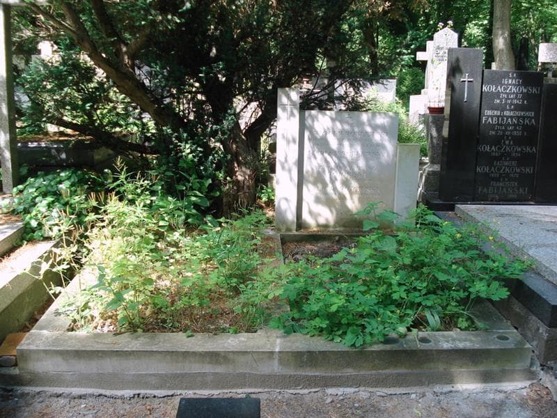 Zdjęcie grobu Maria Wróblewska (1)