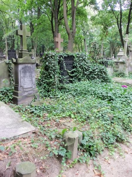Zdjęcie grobu Paulina Kuczyńska (1)