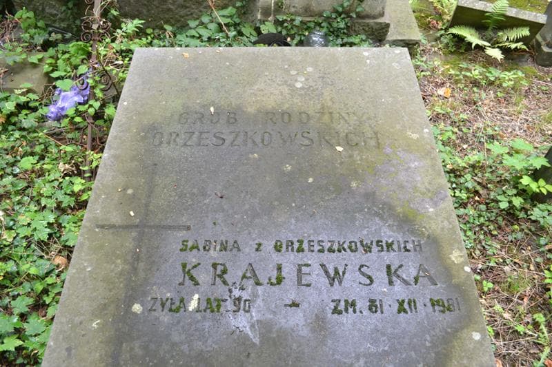 Zdjęcie grobu Sabina Krajewska (2)