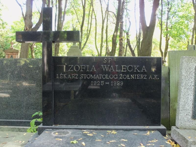Zdjęcie grobu Zofia Walecka (2)