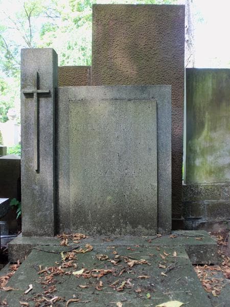 Zdjęcie grobu Gustaw Buszyński (2)
