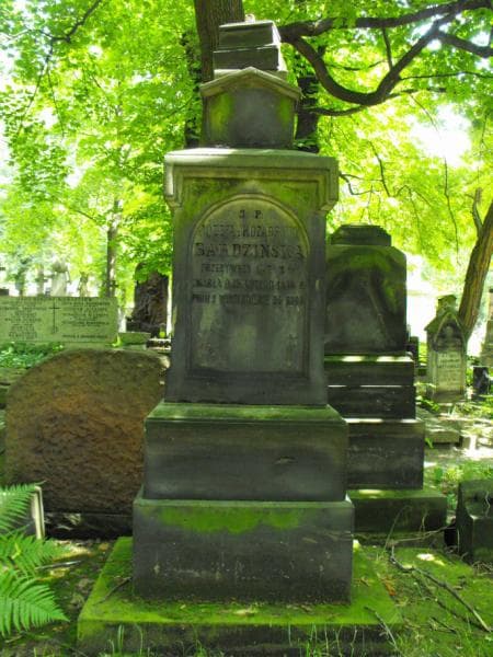 Zdjęcie grobu Józefa Bardzińska (2)