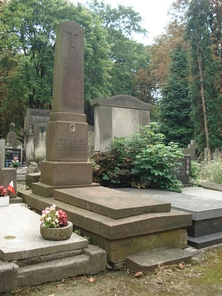 Zdjęcie grobu Wacław Mierzejewski (1)