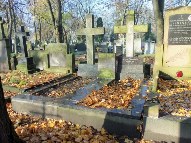 Zdjęcie grobu: Stefan Jasieński