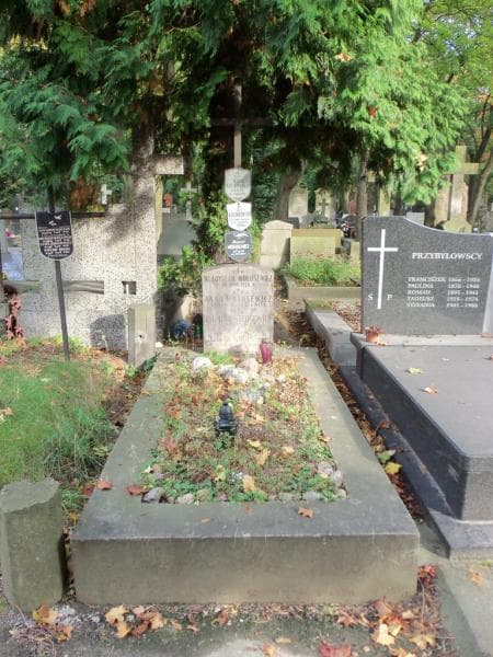 Zdjęcie grobu: Anna Wołosewicz