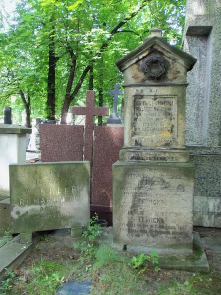 Zdjęcie grobu Tekla Jamiołkowska (2)