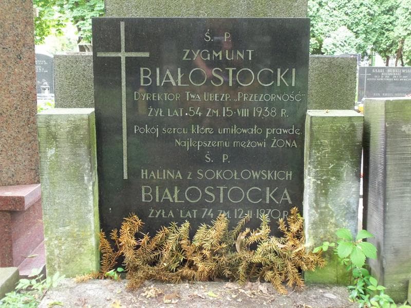Zdjęcie grobu Halina Białostocka (2)