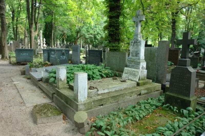 Zdjęcie grobu Jadwiga Pietraszewska (1)