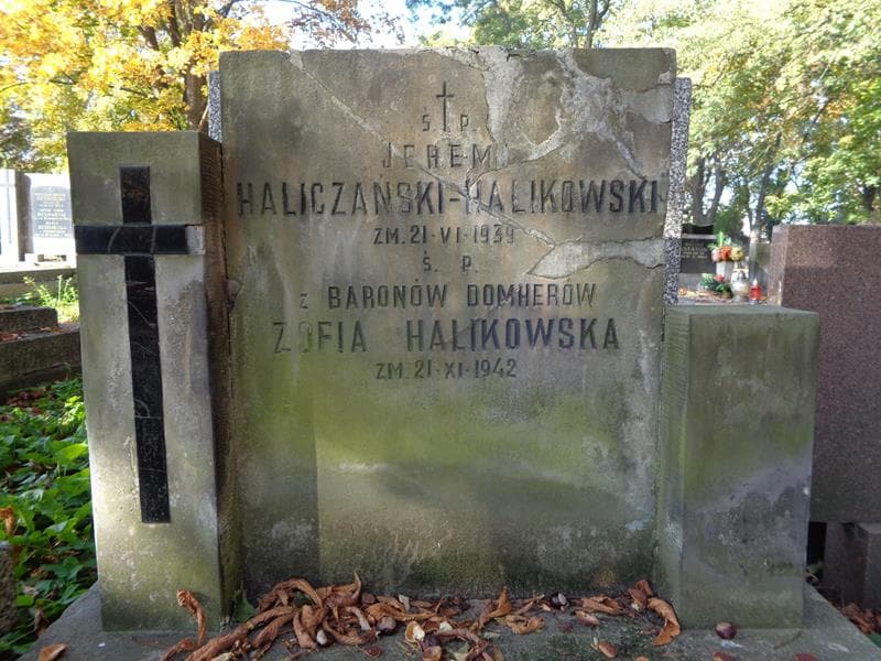 Zdjęcie grobu Zpfia Halikowska (2)