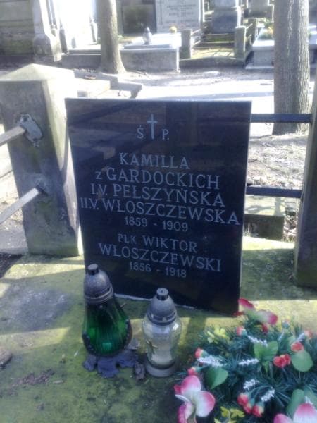 Zdjęcie grobu Aleksander Pełszyński (2)