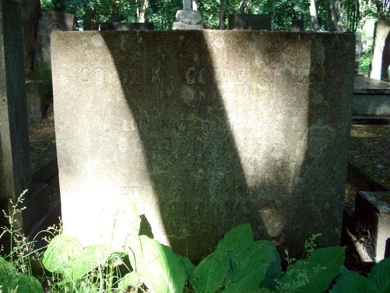 Zdjęcie grobu Dominik Goździkowski (1)
