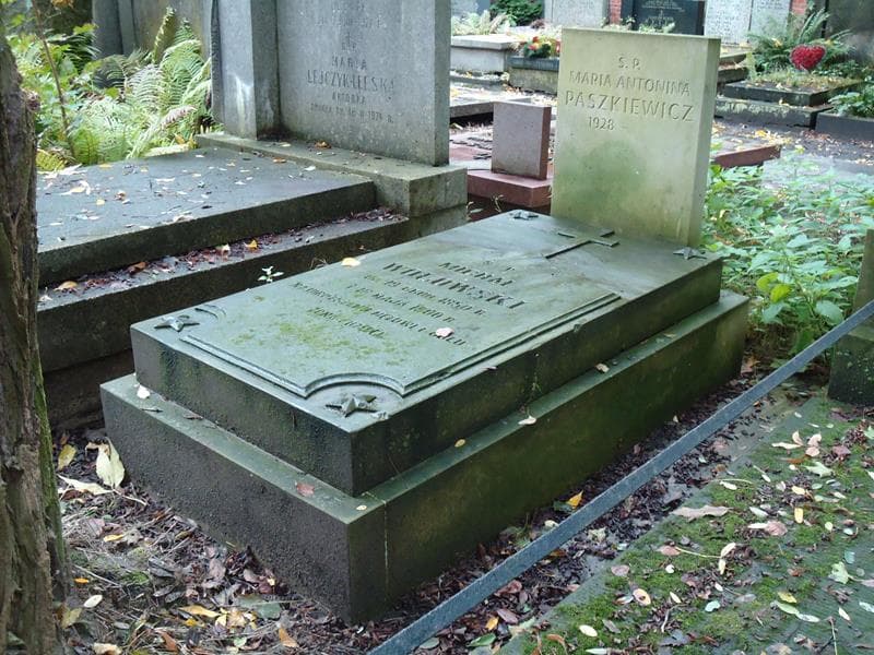 Zdjęcie grobu Michał Wołowski (1)