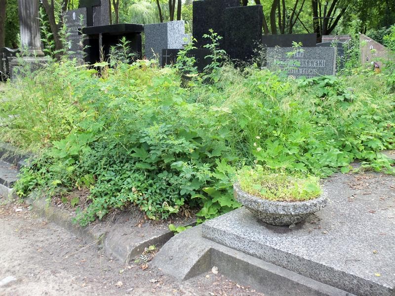 Zdjęcie grobu Józef Kurkowski (1)