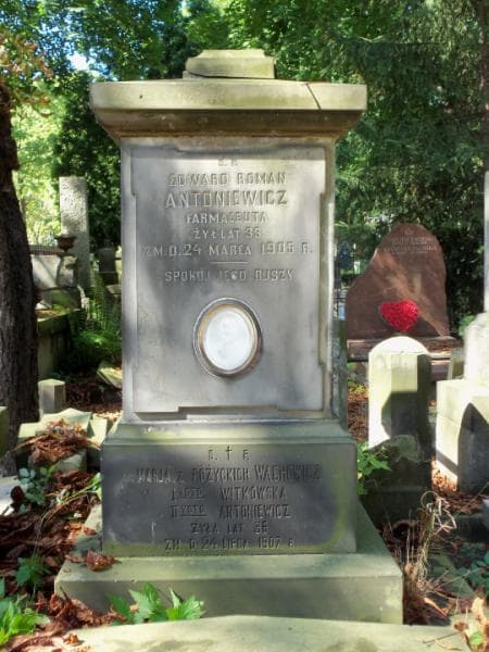 Zdjęcie grobu Marja Wachowicz (2)