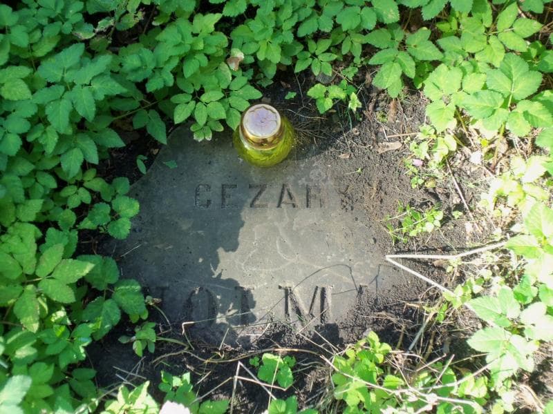 Zdjęcie grobu Cezary Wolman (1)