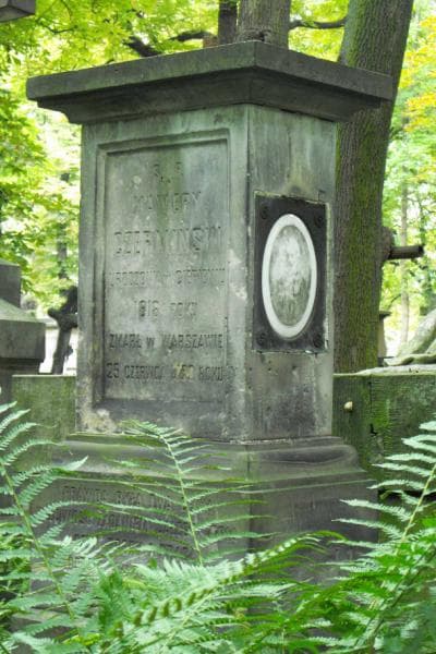 Zdjęcie grobu Xawery Czermiński (2)