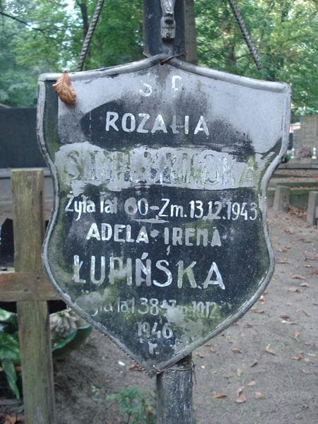 Zdjęcie grobu Rozalia Stypułkowska (2)