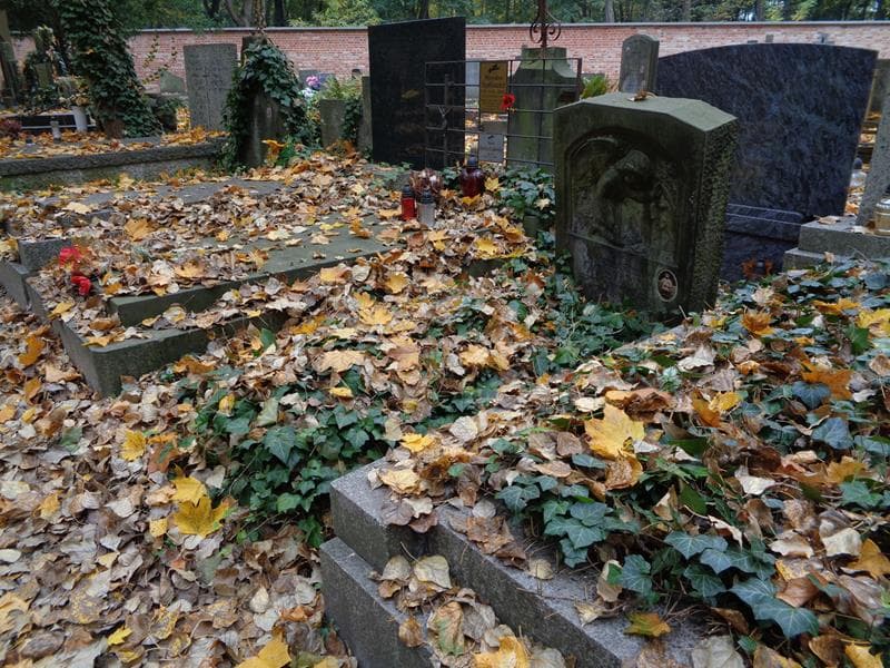 Zdjęcie grobu: Marylka Terenia Gosówna