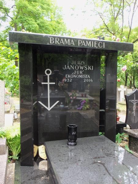 Zdjęcie grobu Janowscy (2)