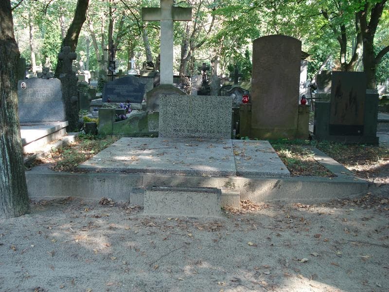 Zdjęcie grobu: Kalikst Bartoszewicz