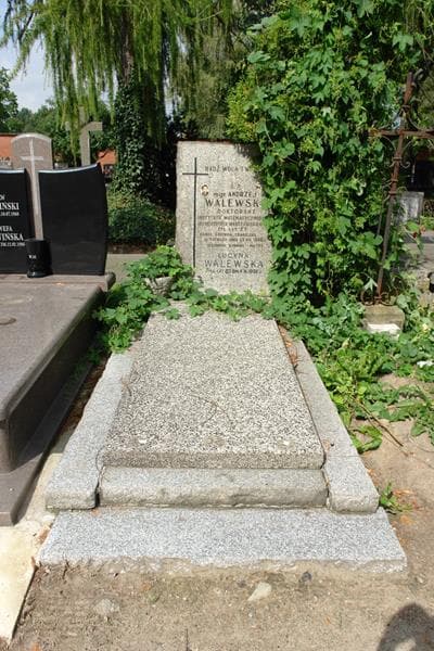 Zdjęcie grobu Andrzej Walewski (1)